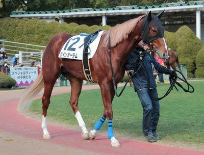 ウインオーラム20120316-1