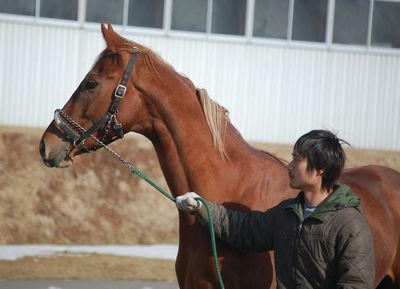 ウインオーラム20120321