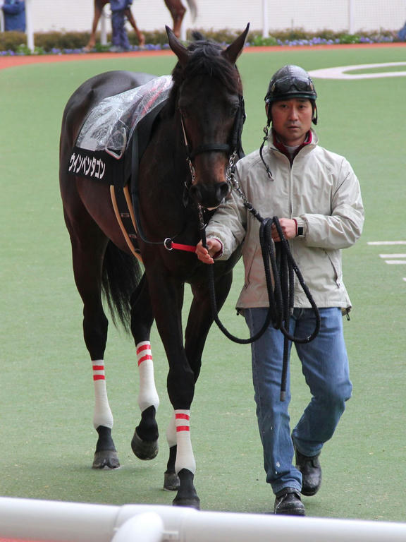 ウインペンタゴン201204-1