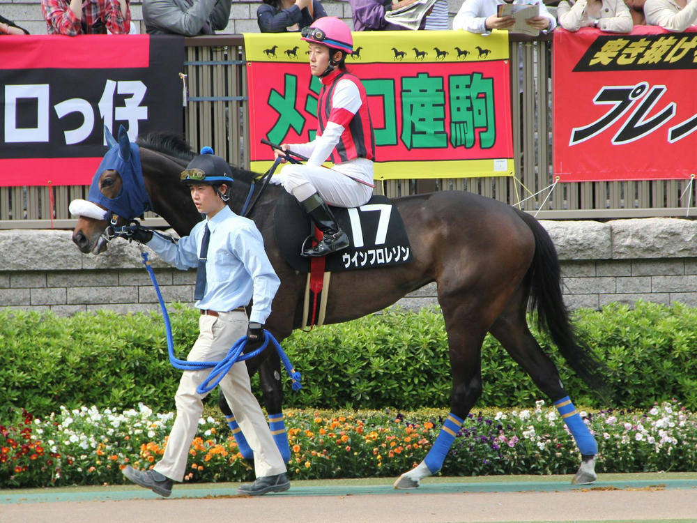 ウインフロレゾン201205-2