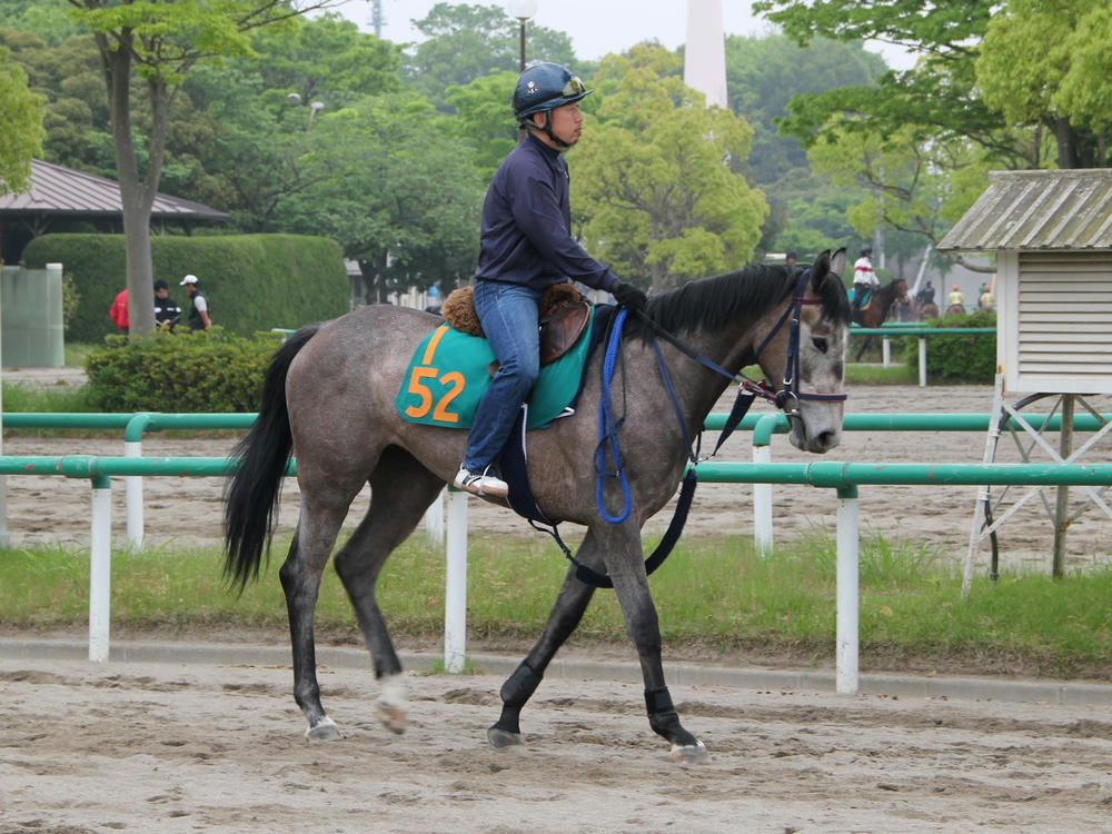 ウインコサージュ201205