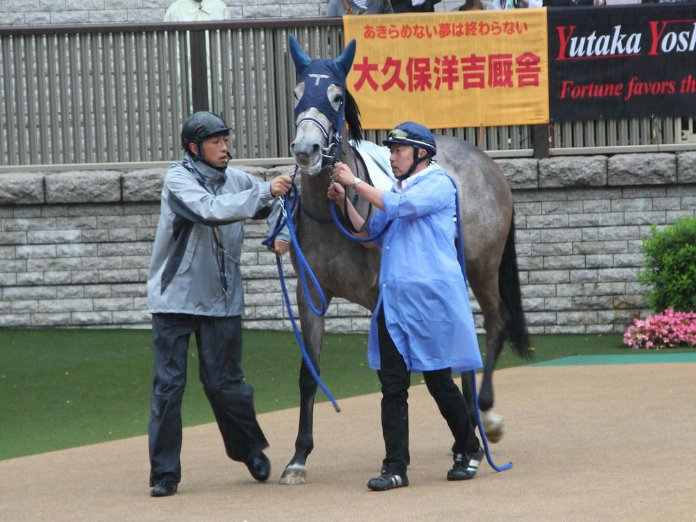 ウインコサージュ201207-1