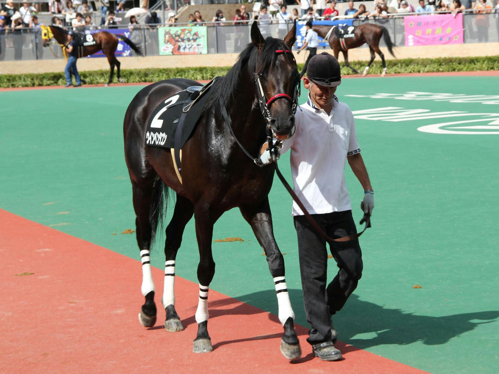 ウインペンタゴン201208-1
