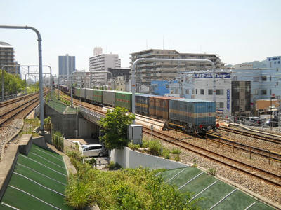 DSCN0470.JPG