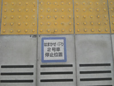 DSCN0791.JPG