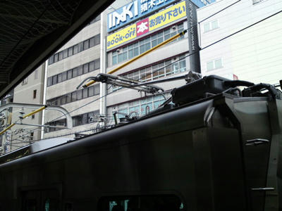SN3J0302.JPG