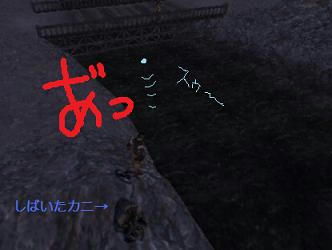 ノォーー!