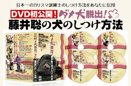 ドッグトレーナー藤井聡の「犬のしつけ教室」感想と特徴を報告