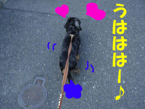 うはうは兜