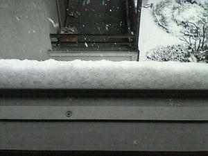 200802091247000.jpg