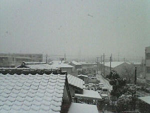 200802091249000.jpg
