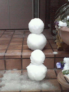 200802091658000.jpg
