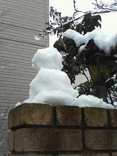 200802091658001.jpg