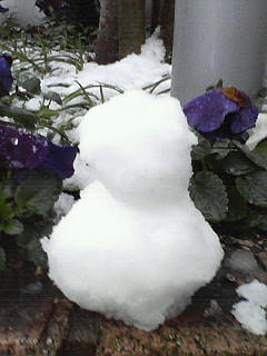200802091659000.jpg