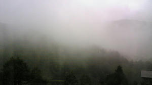 080918_070802_ed.jpg