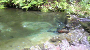 080918_110828_ed.jpg