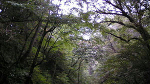 080918_111026_ed.jpg