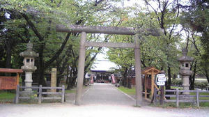 080919_103631_ed.jpg