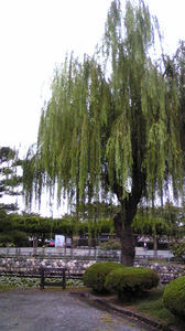 080919_123625.jpg