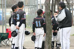 IMG_3767.jpg