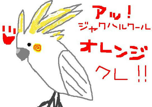 コバタン1
