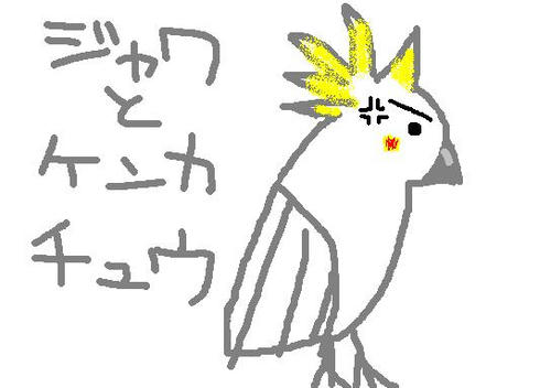 コバタン3