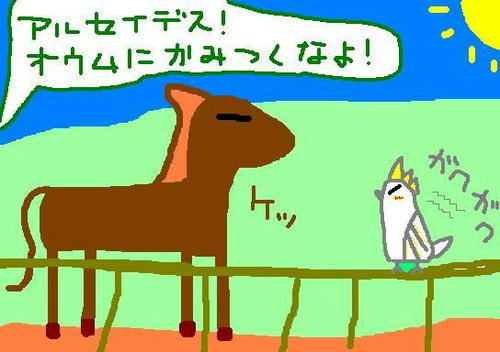 馬VSオウム