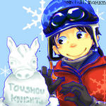 bushi-knight2pegs-a.jpg