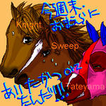 sw-fst-nt1b.jpg