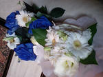 CA370270.JPG