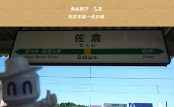 change4_Sakura.jpg