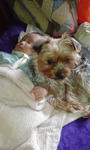 080514_2.JPG
