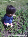 090916_2.jpg