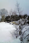 雪