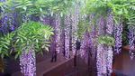 201105030842001.jpg