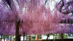 201105030843000.jpg