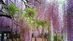 201105030844001.jpg