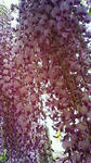 201105030844002.jpg