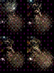 untitled.gif