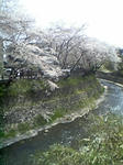 080406_124935_M.jpg