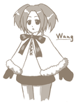 自分でも服がよく分からん・・・。