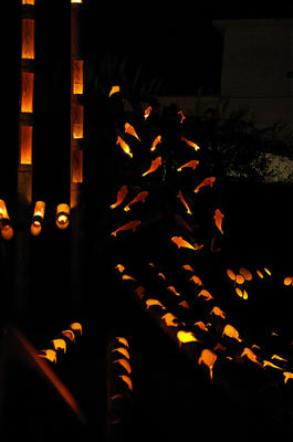2009-110808.jpg