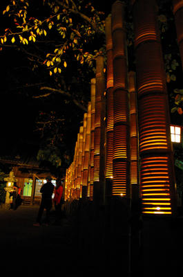 2009-1108010.jpg