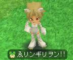 88961ff5.jpeg
