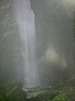 2009062915540000.jpg