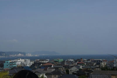 DSC00501.JPG