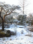 snow