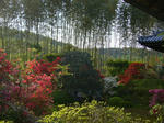 円通寺の庭