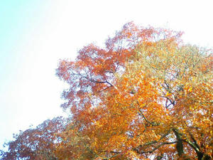 12.6.11.jpg