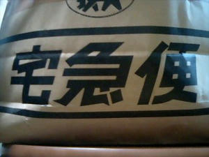 d3b64e6b.jpg
